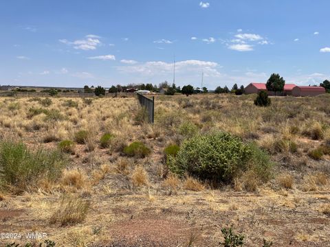 Tiny photo for 687 N Snowflake Hts Boulevard, Snowflake, AZ 85937 (MLS # 252270)