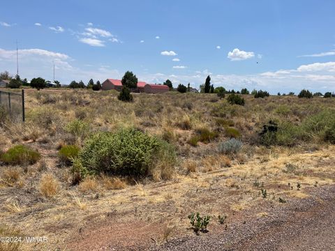Photo of 687 N Snowflake Hts Boulevard, Snowflake, AZ 85937 (MLS # 252270)