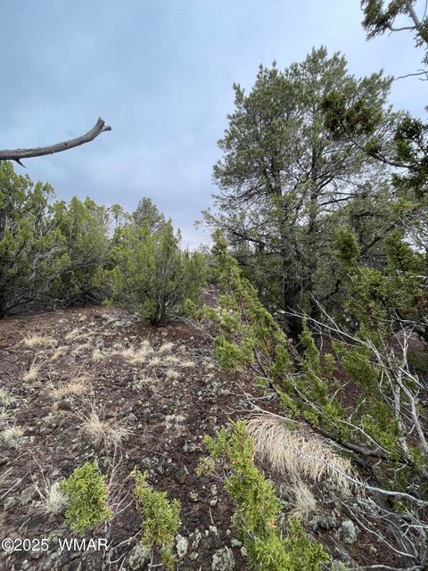 Tiny photo for 36 N 3321, Vernon, AZ 85940 (MLS # 255263)