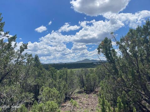 Photo of 36 N 3321, Vernon, AZ 85940 (MLS # 255263)