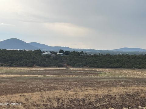 Tiny photo for 36 N 3321, Vernon, AZ 85940 (MLS # 255263)