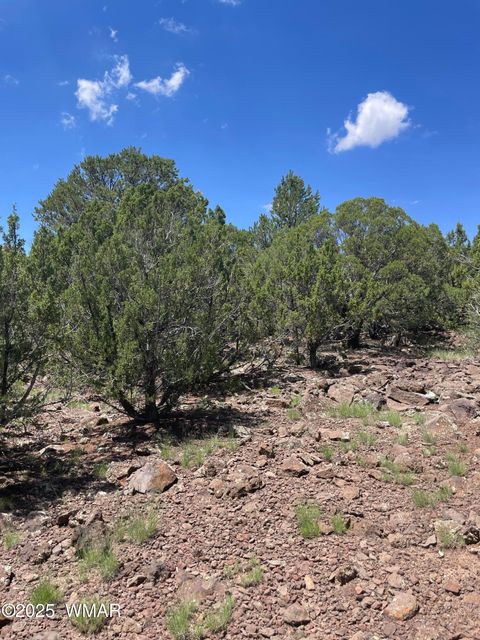 Tiny photo for 36 N 3321, Vernon, AZ 85940 (MLS # 255263)