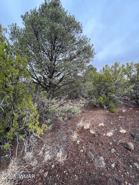Tiny photo for 36 N 3321, Vernon, AZ 85940 (MLS # 255263)