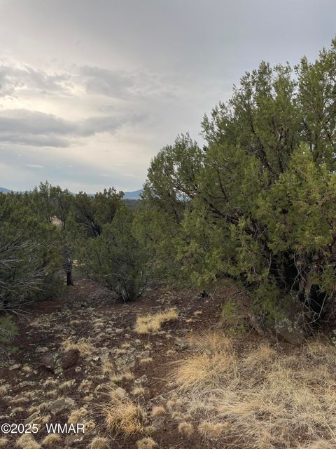 Tiny photo for 36 N 3321, Vernon, AZ 85940 (MLS # 255263)