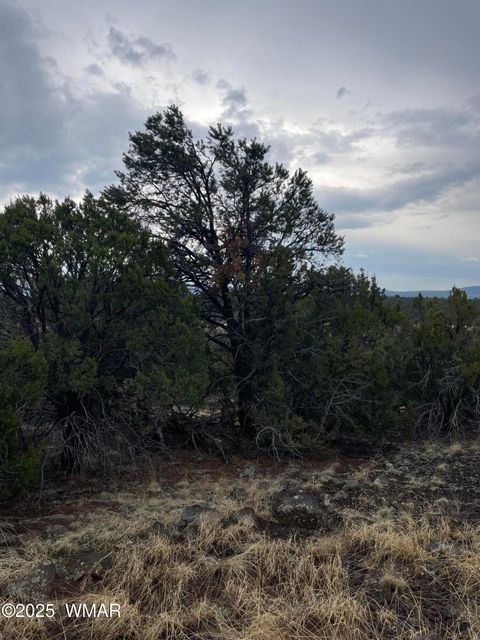 Tiny photo for 36 N 3321, Vernon, AZ 85940 (MLS # 255263)