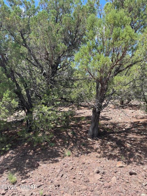Tiny photo for 36 N 3321, Vernon, AZ 85940 (MLS # 255263)