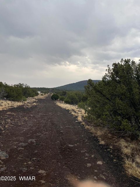 Tiny photo for 36 N 3321, Vernon, AZ 85940 (MLS # 255263)