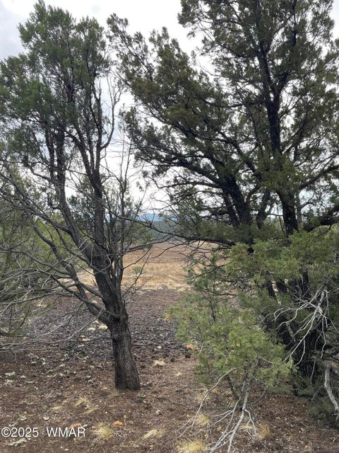 Tiny photo for 36 N 3321, Vernon, AZ 85940 (MLS # 255263)