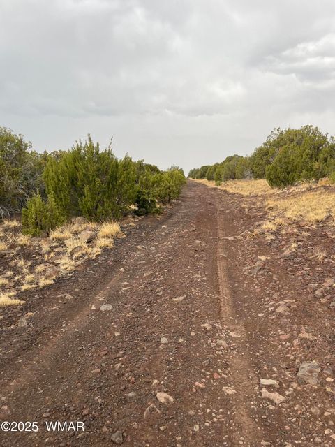 Tiny photo for 36 N 3321, Vernon, AZ 85940 (MLS # 255263)