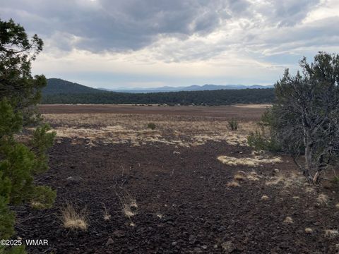 Tiny photo for 36 N 3321, Vernon, AZ 85940 (MLS # 255263)
