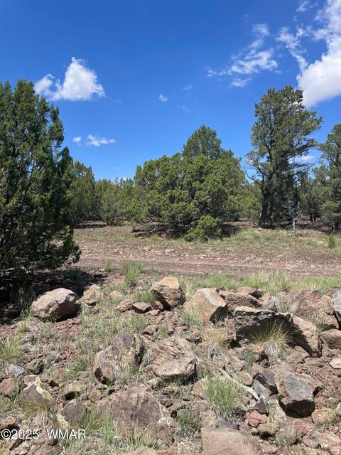 Tiny photo for 36 N 3321, Vernon, AZ 85940 (MLS # 255263)