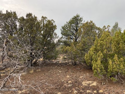 Tiny photo for 36 N 3321, Vernon, AZ 85940 (MLS # 255263)