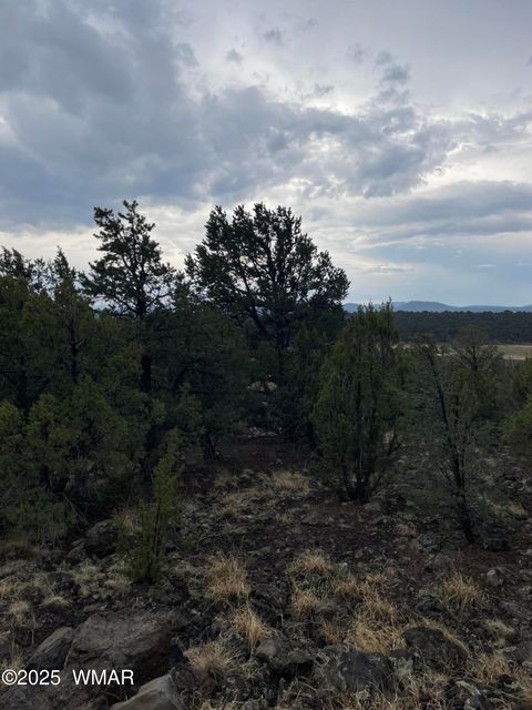 Tiny photo for 36 N 3321, Vernon, AZ 85940 (MLS # 255263)