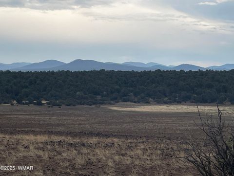 Tiny photo for 36 N 3321, Vernon, AZ 85940 (MLS # 255263)