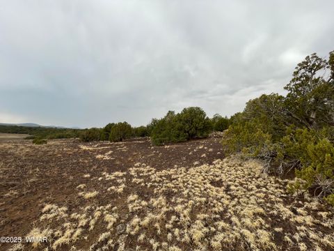 Tiny photo for 36 N 3321, Vernon, AZ 85940 (MLS # 255263)