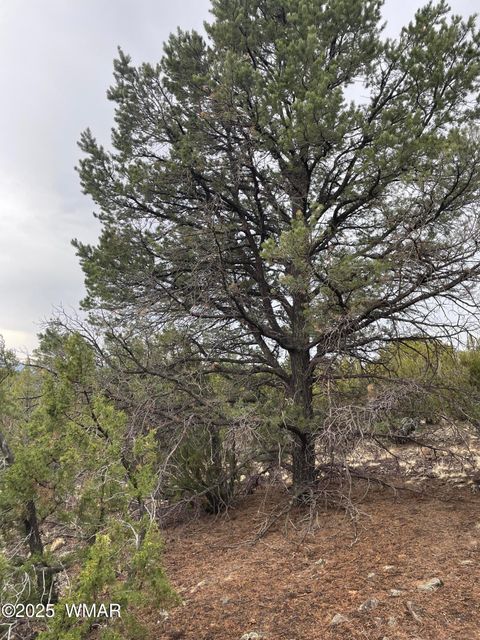 Tiny photo for 36 N 3321, Vernon, AZ 85940 (MLS # 255263)