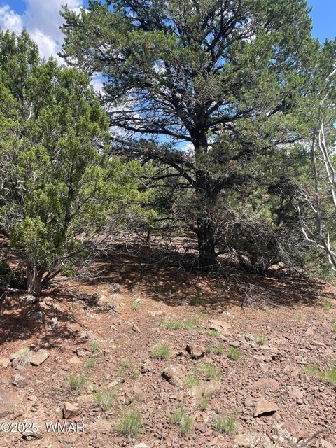 Tiny photo for 36 N 3321, Vernon, AZ 85940 (MLS # 255263)