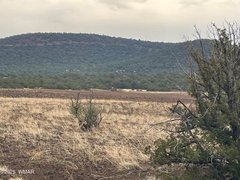 Tiny photo for 36 N 3321, Vernon, AZ 85940 (MLS # 255263)