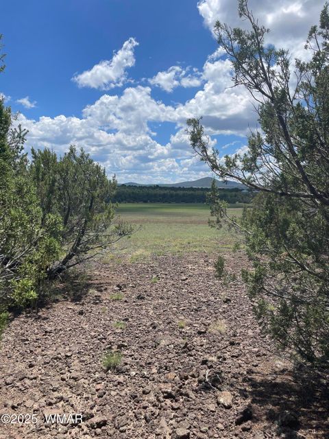 Tiny photo for 36 N 3321, Vernon, AZ 85940 (MLS # 255263)