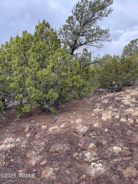 Tiny photo for 36 N 3321, Vernon, AZ 85940 (MLS # 255263)