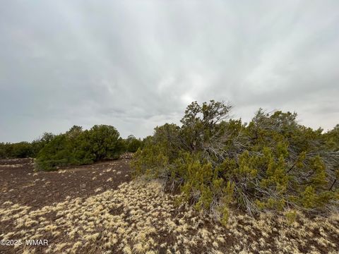 Tiny photo for 36 N 3321, Vernon, AZ 85940 (MLS # 255263)