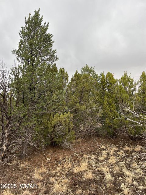 Tiny photo for 36 N 3321, Vernon, AZ 85940 (MLS # 255263)