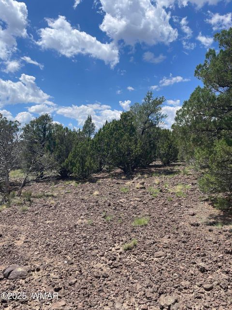 Tiny photo for 36 N 3321, Vernon, AZ 85940 (MLS # 255263)