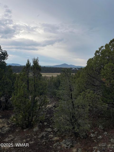 Tiny photo for 36 N 3321, Vernon, AZ 85940 (MLS # 255263)