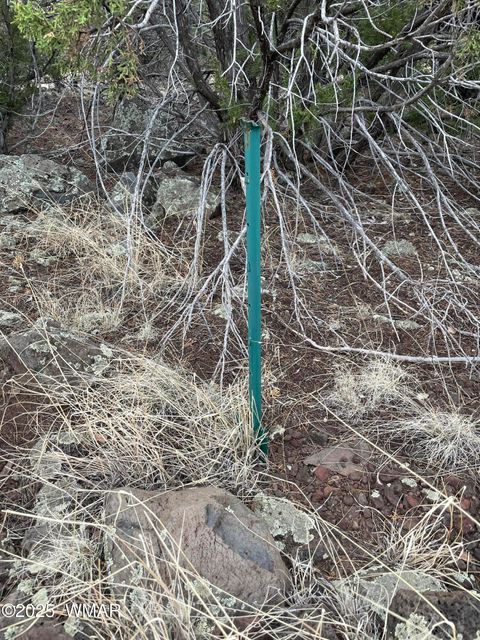 Tiny photo for 36 N 3321, Vernon, AZ 85940 (MLS # 255263)