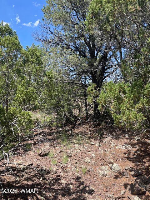 Tiny photo for 36 N 3321, Vernon, AZ 85940 (MLS # 255263)