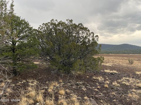 Tiny photo for 36 N 3321, Vernon, AZ 85940 (MLS # 255263)