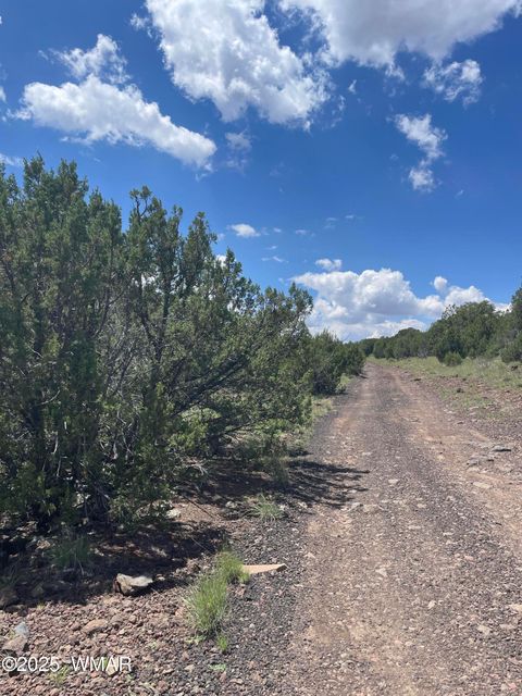 Tiny photo for 36 N 3321, Vernon, AZ 85940 (MLS # 255263)