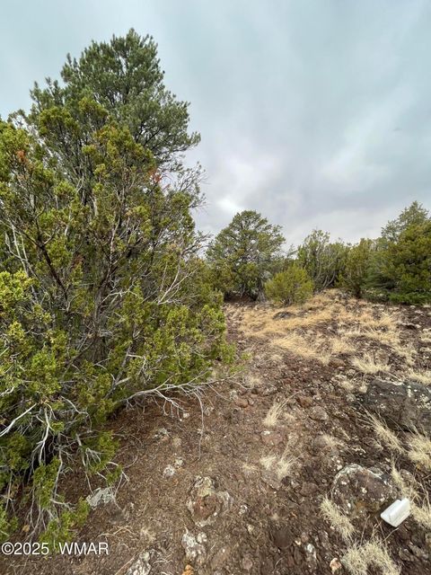 Tiny photo for 36 N 3321, Vernon, AZ 85940 (MLS # 255263)
