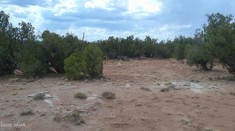 Tiny photo for 2716 Zaidee Road, Show Low, AZ 85901 (MLS # 257473)