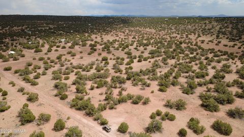 Tiny photo for 2716 Zaidee Road, Show Low, AZ 85901 (MLS # 257473)