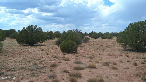 Tiny photo for 2716 Zaidee Road, Show Low, AZ 85901 (MLS # 257473)