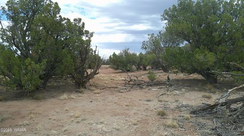 Tiny photo for 2716 Zaidee Road, Show Low, AZ 85901 (MLS # 257473)