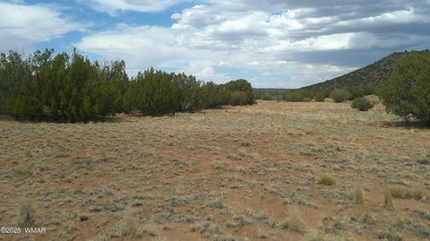 Tiny photo for 2716 Zaidee Road, Show Low, AZ 85901 (MLS # 257473)