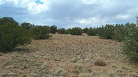 Tiny photo for 2716 Zaidee Road, Show Low, AZ 85901 (MLS # 257473)
