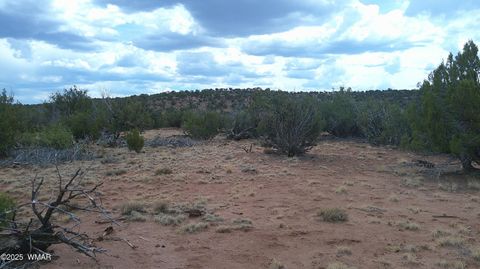 Tiny photo for 2716 Zaidee Road, Show Low, AZ 85901 (MLS # 257473)