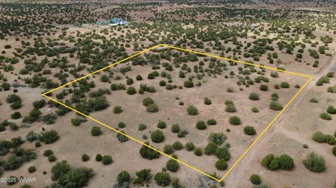 Tiny photo for 2716 Zaidee Road, Show Low, AZ 85901 (MLS # 257473)