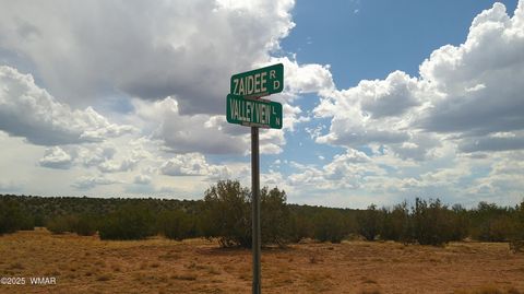 Tiny photo for 2716 Zaidee Road, Show Low, AZ 85901 (MLS # 257473)