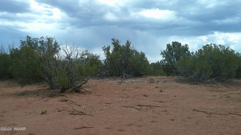 Tiny photo for 2716 Zaidee Road, Show Low, AZ 85901 (MLS # 257473)