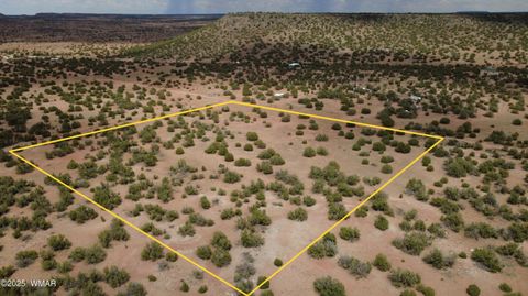 Tiny photo for 2716 Zaidee Road, Show Low, AZ 85901 (MLS # 257473)