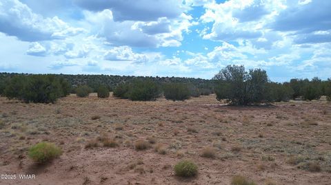 Tiny photo for 2716 Zaidee Road, Show Low, AZ 85901 (MLS # 257473)