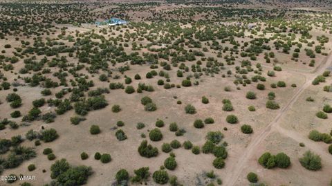 Tiny photo for 2716 Zaidee Road, Show Low, AZ 85901 (MLS # 257473)