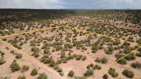 Tiny photo for 2716 Zaidee Road, Show Low, AZ 85901 (MLS # 257473)