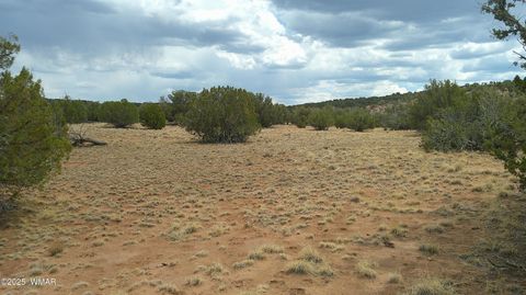 Tiny photo for 2716 Zaidee Road, Show Low, AZ 85901 (MLS # 257473)