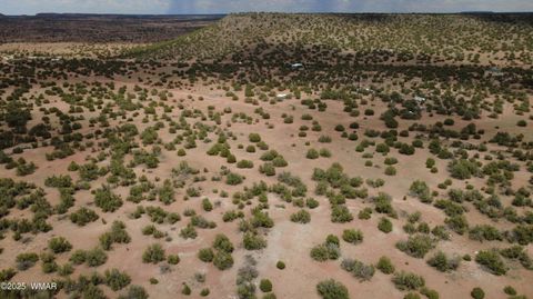 Tiny photo for 2716 Zaidee Road, Show Low, AZ 85901 (MLS # 257473)