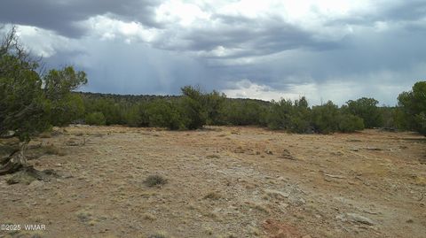 Tiny photo for 2716 Zaidee Road, Show Low, AZ 85901 (MLS # 257473)